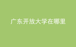 廣東開(kāi)放大學(xué)在哪里