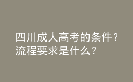 四川成人高考的條件？流程要求是什么？