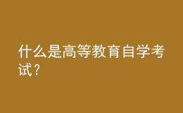 什么是高等教育自學(xué)考試？