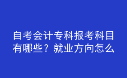 自考會計?？茍罂伎颇坑心男?？就業(yè)方向怎么樣？ 