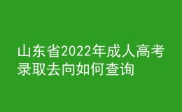 山東省2022年成人高考錄取去向如何查詢？通知書怎么發(fā)放？