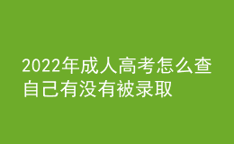 2022年成人高考怎么查自己有沒有被錄??？學歷國家認可？