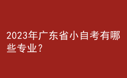 2023年廣東省小自考有哪些專業(yè)？ 