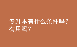 專升本有什么條件嗎？有用嗎？ 