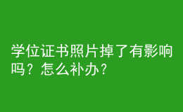 學(xué)位證書照片掉了有影響嗎？怎么補辦？ 