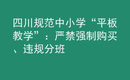 四川規(guī)范中小學(xué)“平板教學(xué)”：嚴(yán)禁強(qiáng)制購(gòu)買(mǎi)、違規(guī)分班