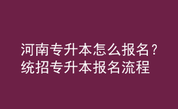 河南專升本怎么報(bào)名？統(tǒng)招專升本報(bào)名流程