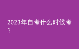 2023年自考什么時(shí)候考？ 