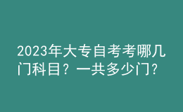 2023年大專自考考哪幾門科目？一共多少門？ 