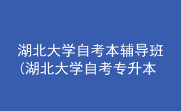 湖北大學(xué)自考本輔導(dǎo)班(湖北大學(xué)自考專升本選修課怎么報名)