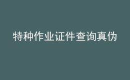 特種作業(yè)證件查詢真?zhèn)? style=