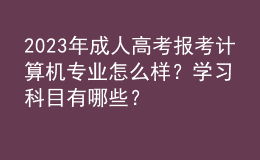 2023年成人高考報考計算機專業(yè)怎么樣？學習科目有哪些？