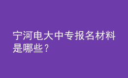 寧河電大中專報(bào)名材料是哪些？
