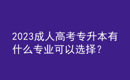 2023成人高考專升本有什么專業(yè)可以選擇？
