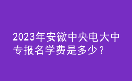 2023年安徽中央電大中專報名學費是多少？