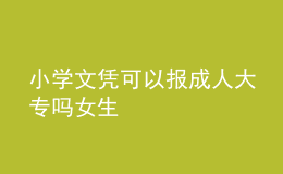 小學文憑可以報成人大專嗎女生 