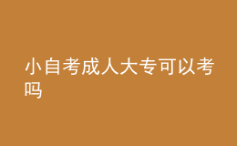小自考成人大?？梢钥紗?