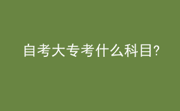 自考大?？际裁纯颇?
