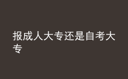 報(bào)成人大專還是自考大專 