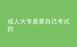 成人大專(zhuān)是要自己考試的 