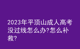 2023年平頂山成人高考沒過線怎么辦?怎么補救?
