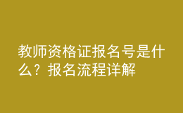 教師資格證報名號是什么？報名流程詳解
