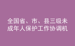 全國省、市、縣三級未成年人保護工作協(xié)調機制實現(xiàn)全覆蓋