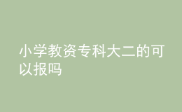 小學教資?？拼蠖目梢詧髥? style=