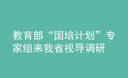 教育部“國培計劃”專家組來我省視導(dǎo)調(diào)研