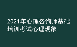 2021年心理咨詢師基礎(chǔ)培訓考試心理現(xiàn)象的學習經(jīng)驗