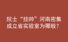 院士“掛帥”河南密集成立省實驗室為哪般？