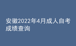 安徽2022年4月成人自考成績(jī)查詢