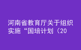 河南省教育廳關于組織實施“國培計劃（2020）” ——河南省中小學幼兒園教師培訓項目的通知