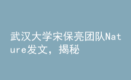 武漢大學(xué)宋保亮團(tuán)隊(duì)Nature發(fā)文，揭秘降脂新策略！