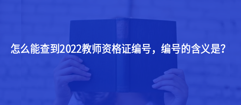 怎么能查到2022教師資格證編號，編號的含義是？