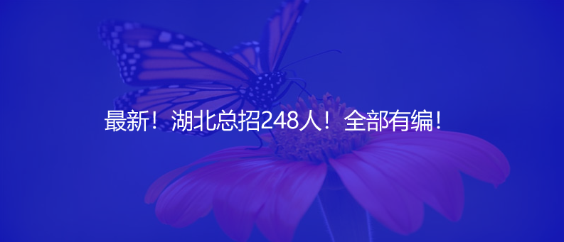 最新！湖北總招248人！全部有編！